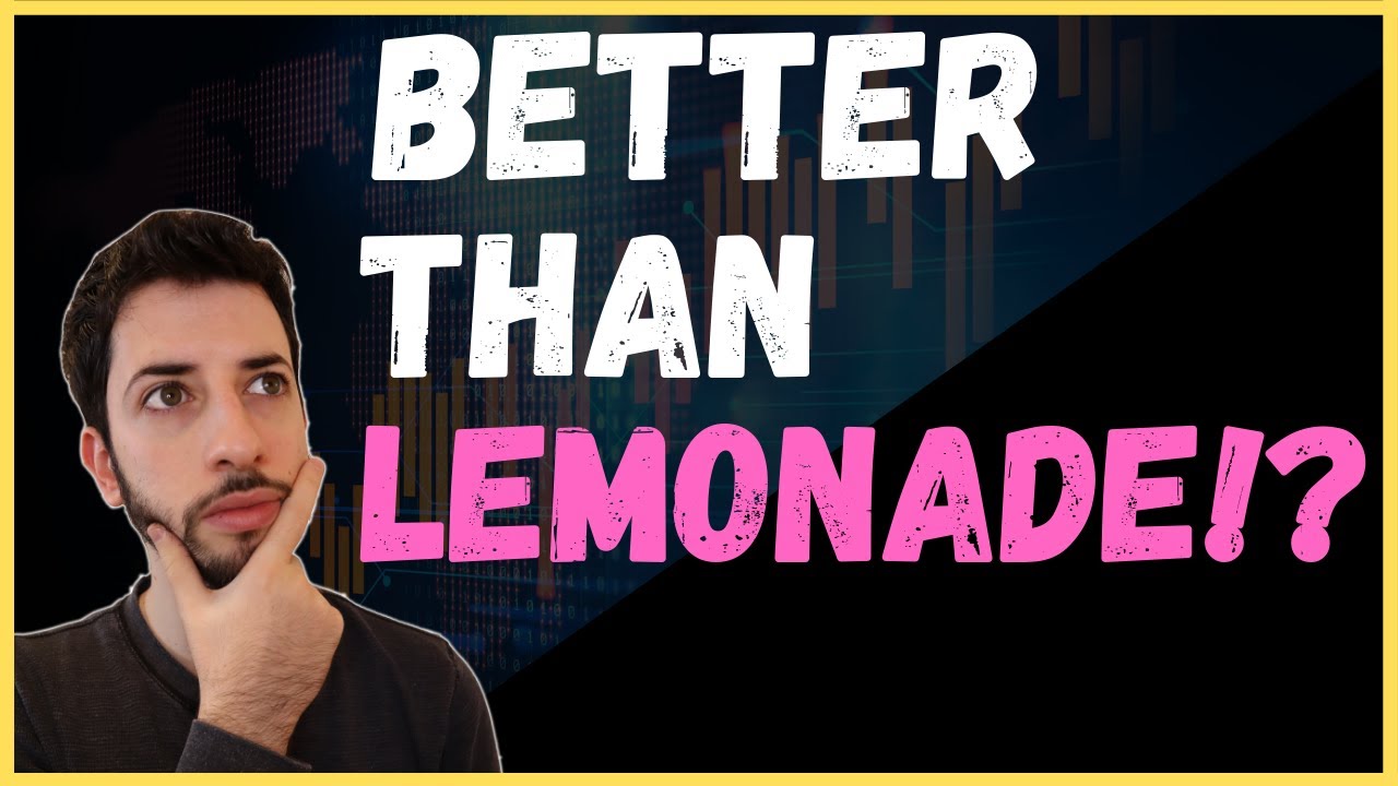 Is Hippo Better Than LEMONADE?! First Look At Hippo Insurance Next