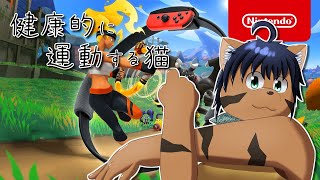 【リングフィットアドベンチャー】お、お部屋片づけたから…18日目。【猫酪真珠】