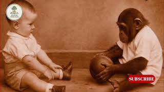 Living Memories: History, Legacy, Truth