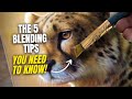 Master acrylic paints  the ultimate blending guide