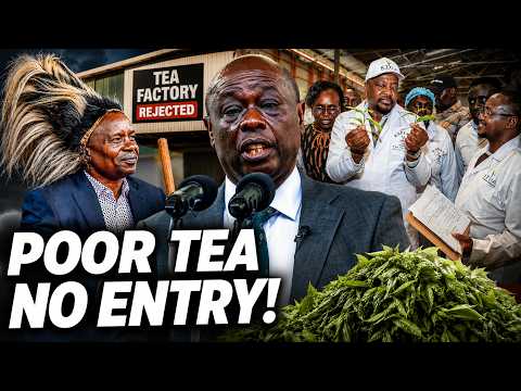 Kindiki Unleashes on Gachagua,Factories Ordered to Reject Poor Tea