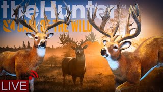 Let's try to get another short WT Grind! | theHunter: Call of the Wild