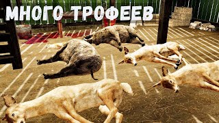 видео: Farmer's Life - Очень МНОГО поймал КАПКАНАМИ # 67 картинка: Farmer's Life - Очень МНОГО поймал КАПКАНАМИ # 67