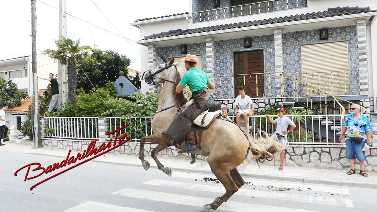 2º Encontro Equestre em Alfarim 2019
