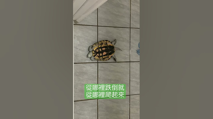 從哪裡跌倒從哪裡起來