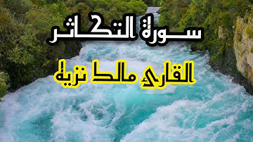 سورة التكاثر || القارئ مالك نزيه || قرآن الفجر