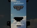 Any #web #developer 🧑💻 knows: responsive design makes sites looks good on all devices #shorts