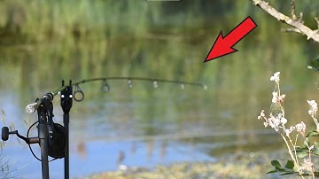 Carp Run COMPILATION 2022! PART 74!