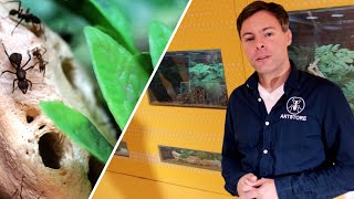 Ku64Te Antstore - Almanyanın Berlindeki En Büyük Diş Hekimliği Muayenehanesi.