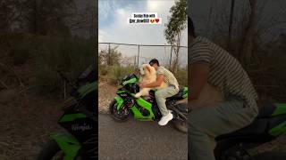 Sunday ride with my chow chow#viral #life #vloggers #dog