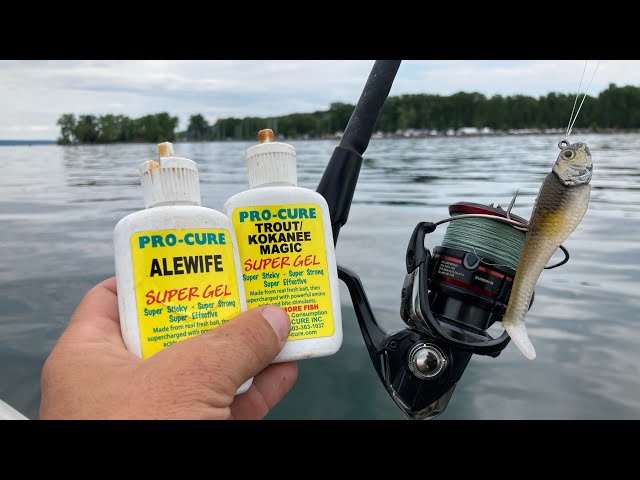 Do Lure Scents Help You Catch More Fish?? (Or Is It A Sales Trick?) 