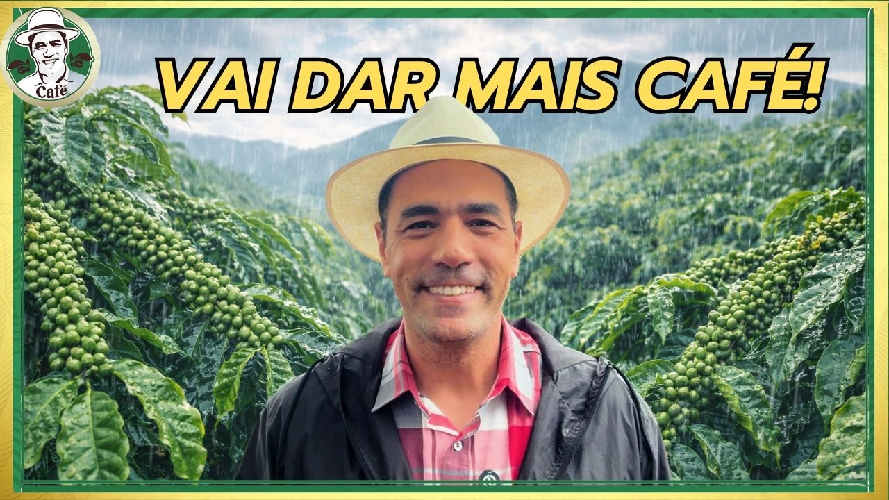 CHUVAS E FORMAÇÃO DE SAFRA: O QUE ESPERAR?