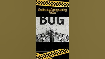 The First Real Computer Bug Was… a Moth?!