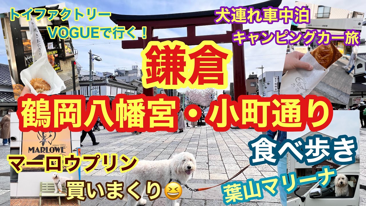 【犬連れキャンピングカー車中泊旅】久しぶりに鎌倉へ！葉山でマーロウ買いまくり(笑)