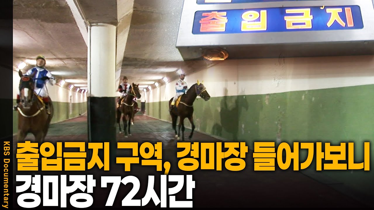 철통 보안! 외부에선 볼 수 없는 경마장 속 준비 과정 전격 공개 | 과천 경마장 72시간 | KBS 20070628 방송