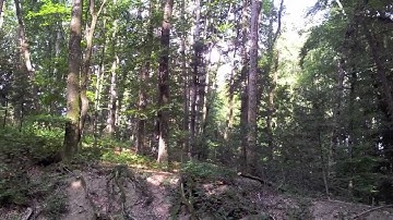 Thymio II eco-magic agent