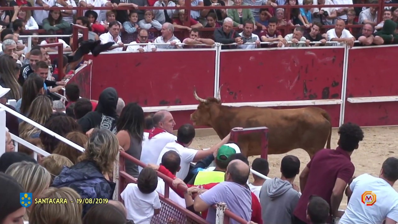 Tv Santacara - 19/08/2019 - Fiestas - Capea