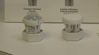 Intellect Intelligent Integrated Fixture Controls by Leviton