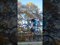 Summer #bike #funny