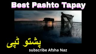 Pashto Tapay I Best Pashto Tapeazi I Ever green Tappay