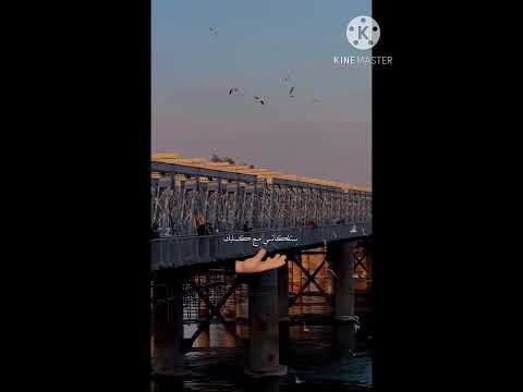 طمني عليك إذا حسيت بأي اذى