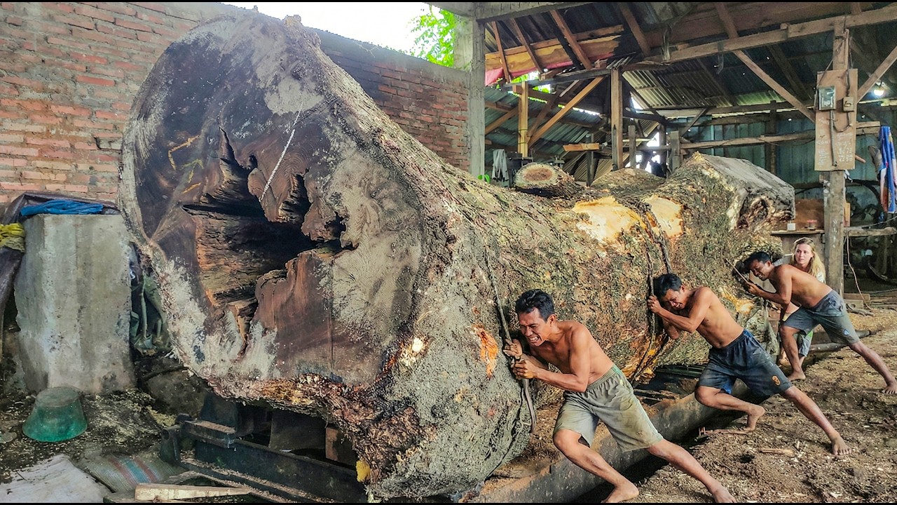 How Industrial Sawmills Handle Massive Timber Logs