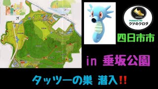 Pokemon Go Horsea Get In Tarusaka Park Mie Prefecture Yokkaiti City Youtube