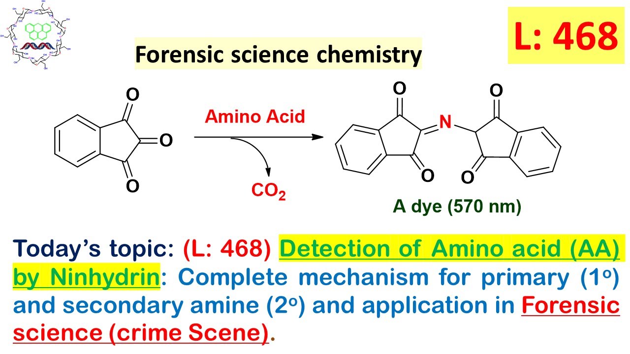 (L 468) Detection of Amino acid by Ninhydrin complete Mechanism