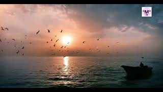 رامي صبرى ... النهايات أخلاق  -  Ramy Sabry