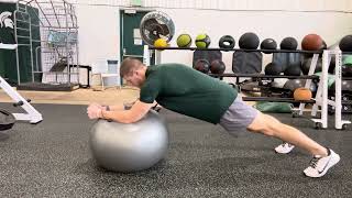 Exercise Ball Plank Extension and Flexion