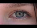 Augen (TagTraumStunde) / IGS Nordend / Rex-TV