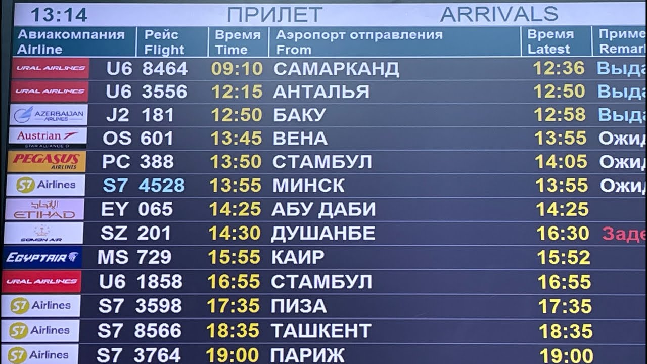 Душанбе 24 ру. Домодедово Самарканд Аэро. Рейс Москва Самарканд Домодедово. Самарканд Москва аэропорт. Самарканд Макова дамдедво.