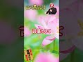 神様からのエネルギーを受け取る８つの言霊 #斎藤一人 #shorts
