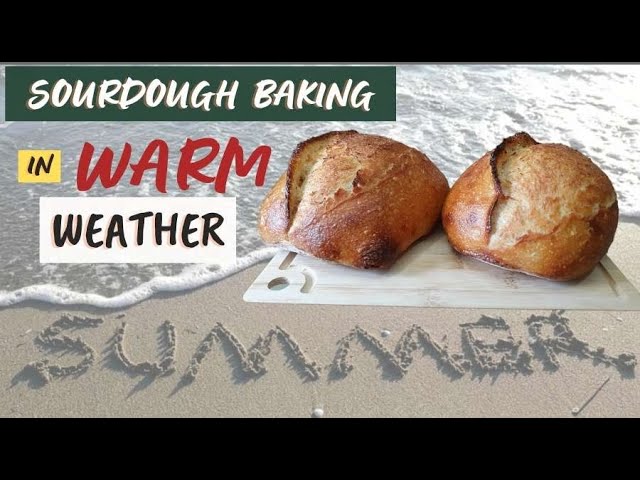 Avoid Failure: How to Bake Sourdough in Hot & Humid Climates