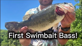 Now I see why Bass Fisherman LOVE Swimbaits…