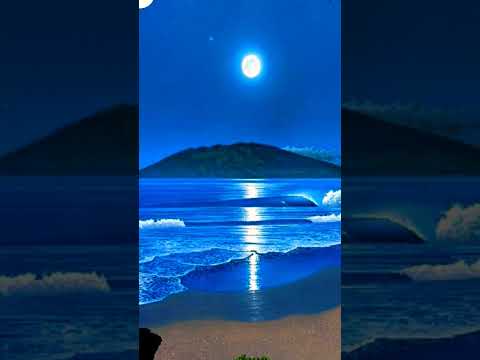 القران شفيعك محمود الليثي سامح هويدي علي الخير نلتقي لايك