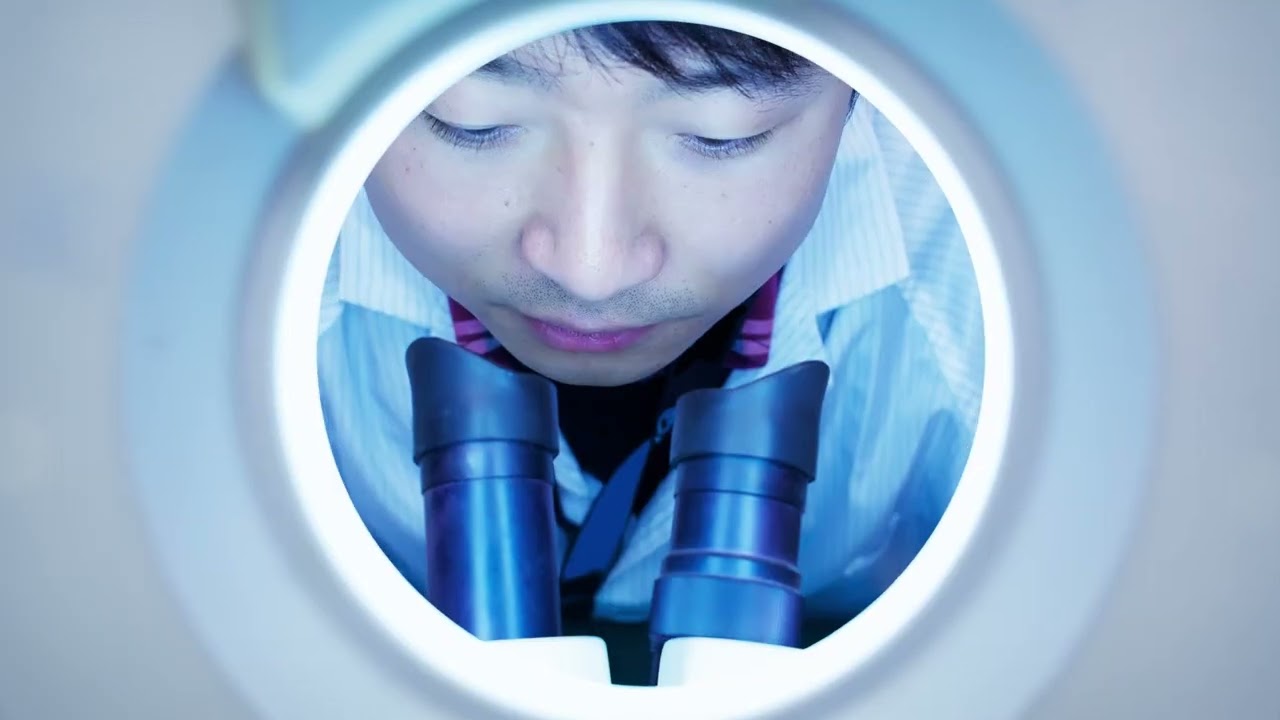 Siemens Xcelerator: Accelerate your digital transformation