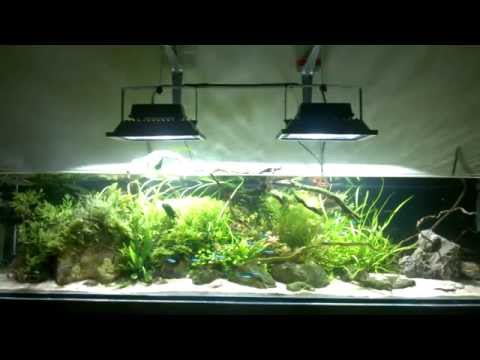 cheap diy planted aquarium