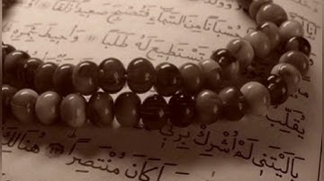 سورة نوح _ محمود عبد الحكم