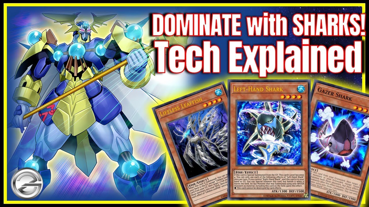 SHARK ATTACK! Easy Deck for NEW Duelists to Dominate Duel Links!