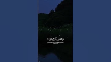 قران كريم ❤️❤️ #اكسبلور #حالات_واتس #قران_كريم  #المصحف #تيك_توك