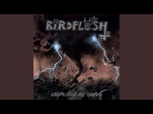 Birdflesh - House Guest