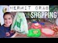 Shopping For Hermit Crabs | Lori's Hartland