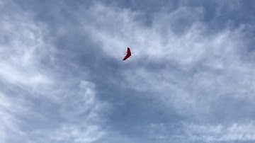 MILVUS VTOL fixed wing- focus on only taking off and landing.