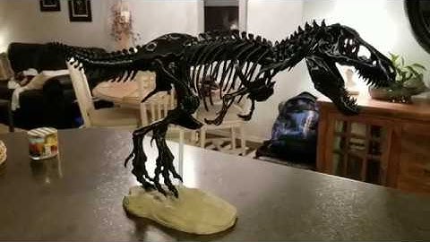 Makerbot T-Rex Skeleton Assembly Timelapse