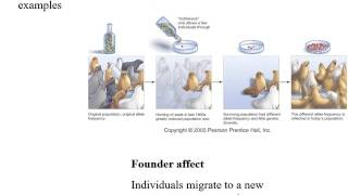 Microevolution