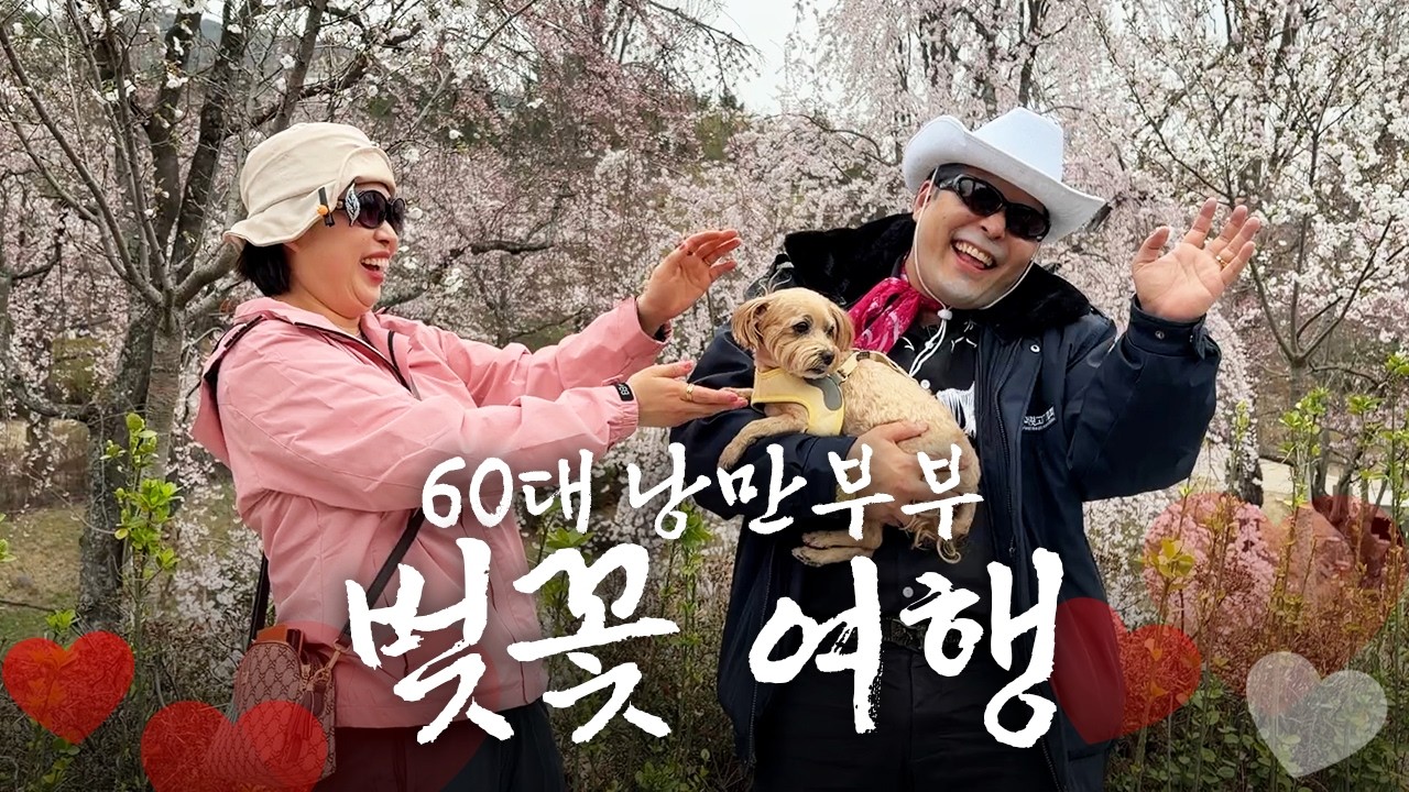 낭만 찾아 전국 벚꽃여행 다니는 삼촌 [낭만부부]