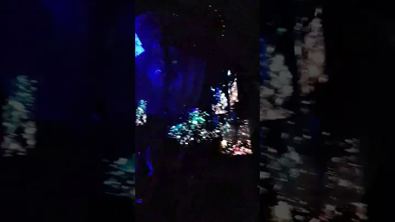 Roberto Cavalli Club Dubai