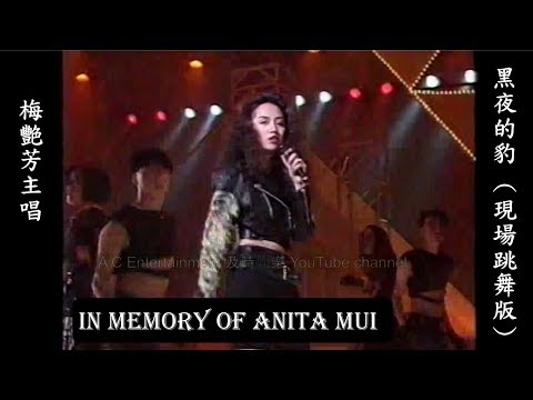 [懷念梅艷芳] 1989年 梅艷芳   黑夜的豹 （現場跳舞版）