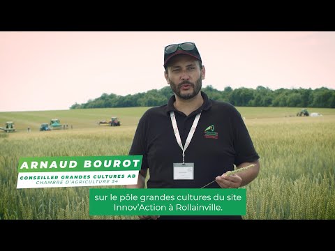 Bilan Pôle Grandes Cultures Innov Action AB 2022